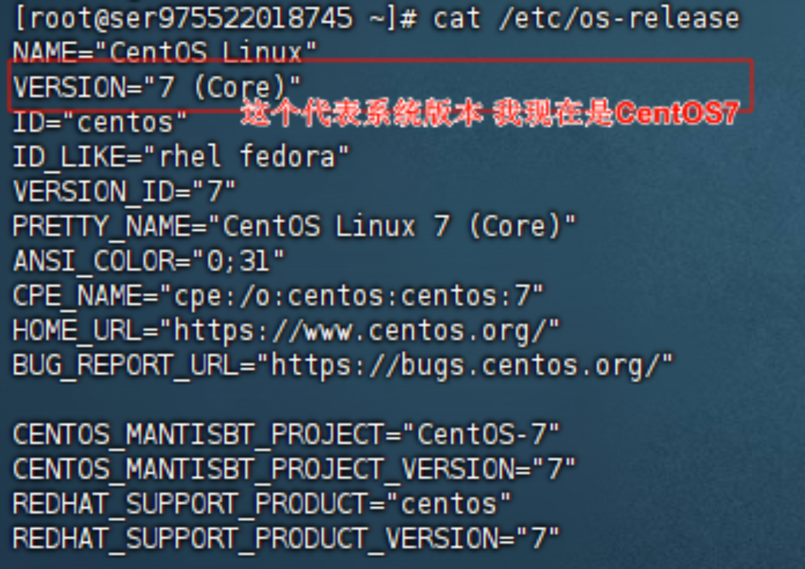 System Info
